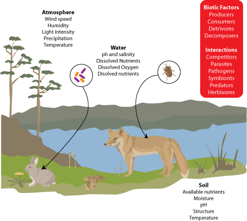 Ecosystem Abiotic
