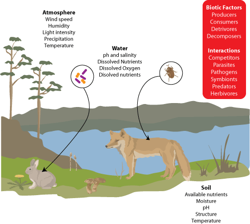 biotic and abiotic factors The atmosphere; Climate and water 