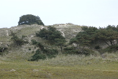 sand dune